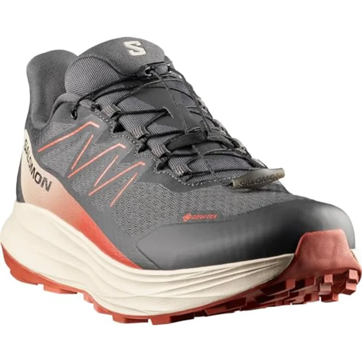 Salomon Alpharide 2 GTX, Laufschuhe für Normalpronierer mit GORE-TEX Membran, Quicklace™-Schnellschnürsystem und Contagrip®-Außensohle, grau – Bild 2