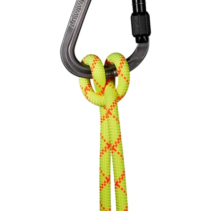 Mammut 9.5 Alpine Core Protect Dry Rope 50m, wasser- und schmutzabweisend, abriebfestes Halb- und Zwillingsseil – Bild 3