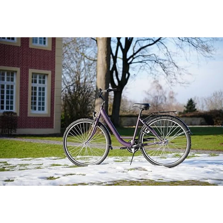 PROPHETE Geniesser 100 Cityrad 28" Dark Purple Matt – Shimano 3-Gang Nabenschaltung, LED-Beleuchtung, Rücktrittbremse, Wave Stahlrahmen 46 cm – Bild 5