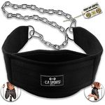 C.P.Sports Premium Dip-Gürtel | Profi Dipgürtel für Klimmzüge, Squats, Fitness, Krafttraining, Gym | Dipp Gürtel für Dips bis zu 250kg aus reißfestem Nylon mit Stahlkette für Hantelscheiben Gewichte