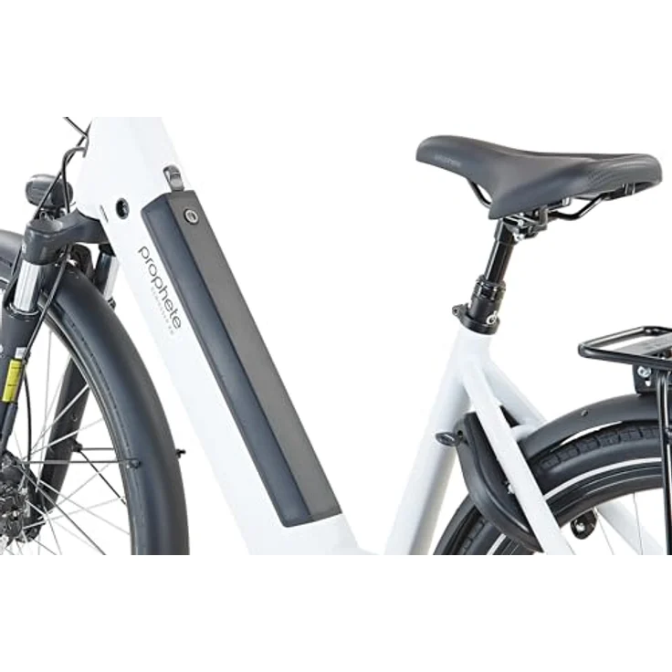 Prophete Geniesser 2.0 City E-Bike, 28 Zoll, 360Wh integrierter Akku, Frontmotor, 7-Gang Nabenschaltung, HDY Scheibenbremse, Rahmenhöhe 48 cm – Bild 3