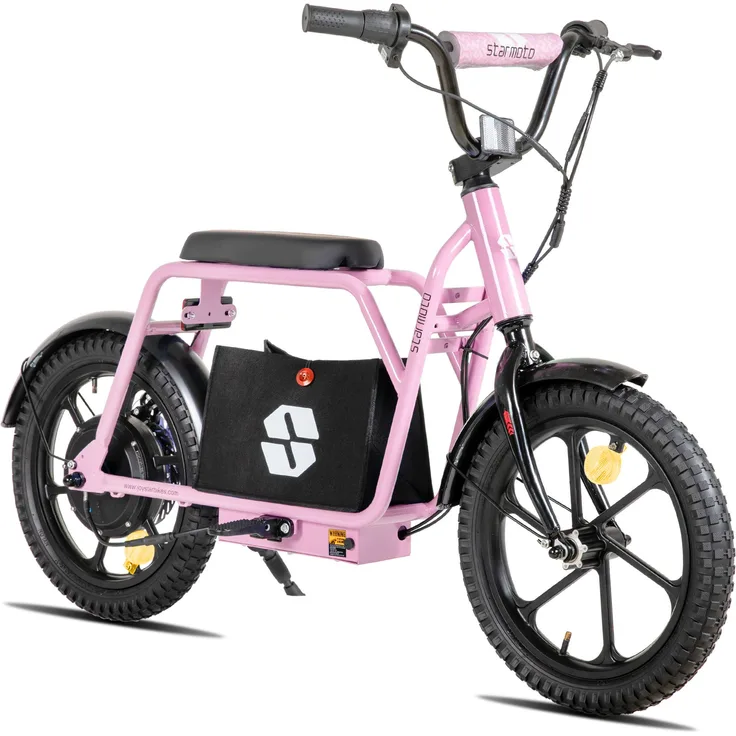 Hiland JoyStar 16-Zoll-Elektrofahrrad für Kinder, 250W Motor, 5,2Ah Akku, Mini-Lasten-E-Bike mit Gangschaltung, mechanische Scheibenbremsen, für Körpergröße 99–142 cm
