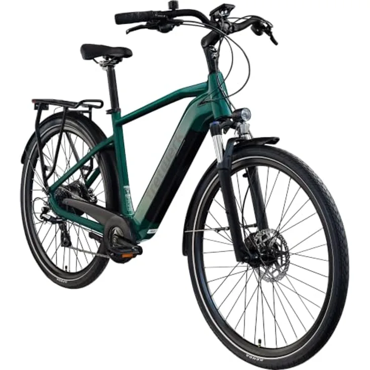 Tretwerk Onyx E Bike, Trekkingrad für Herren mit 28 Zoll Laufrädern, 250 W Motor, 550 Wh Akku, dunkelgrün