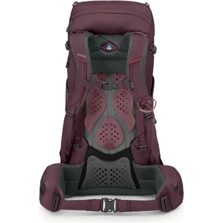Osprey Kyte 38, leichter Wanderrucksack für Damen WM/L, Elderberry Purple – Bild 5