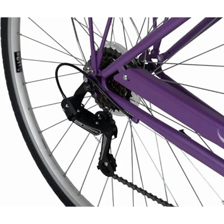 DaCapo Damenfahrrad Toscana 28'', 6 Gänge, RH 48 cm, elegantes Design mit hellen Reifen und StVZO Beleuchtung – Bild 4