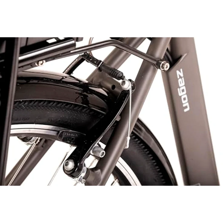 HOLLANDIA E-Citybike Herren 28" Zagon RH 53 cm Grau 250 Watt Li-Ion 36V/13 Ah 6 Gänge – Bild 4