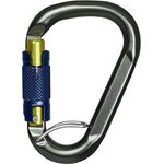 Salewa Belay Twist Lock Karabiner, Schwarz, aus Alu 7075 T6, 92 g, zertifiziert nach EN 15151 und UIAA 121
