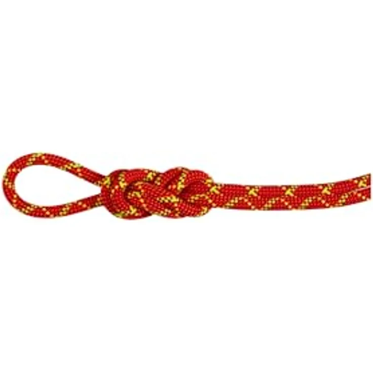 Mammut 8.0 Alpine Core Protect Dry Rope 60m, wasser- und schmutzabweisendes Kletterseil mit abriebfester Mittelmarkierung und Ready to climb-Funktion