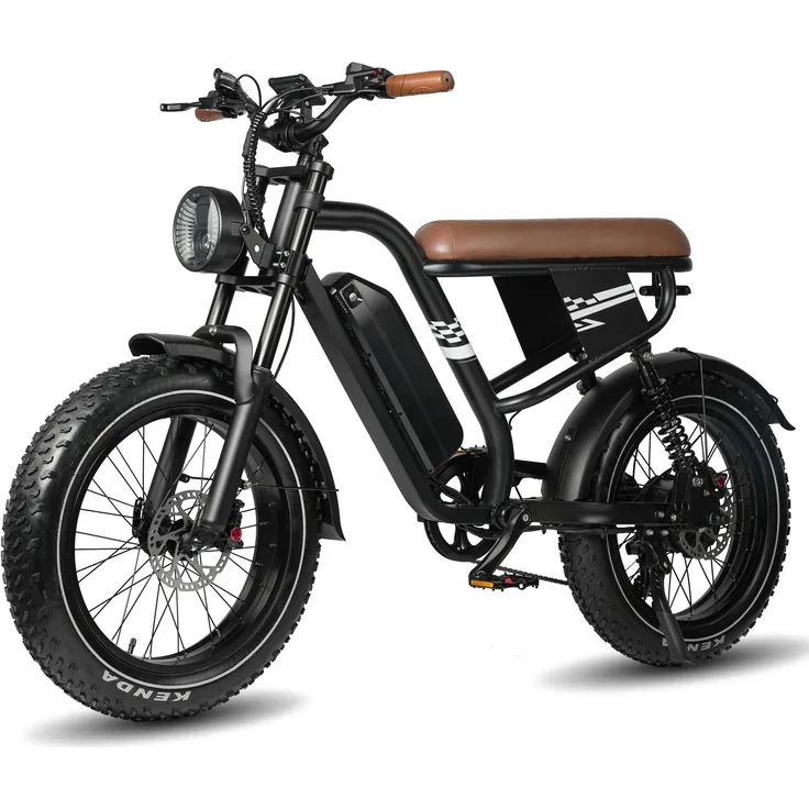 VANKEL MAXTURN MX10, E-Bike Cityrad 648WH Pedelec mit 250W Heckmotor, 48V 13,5AH, 100 km Reichweite, 20 Zoll Offroad-Reifen, stabiler Stahlrahmen