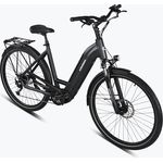 GRUNDIG GCB-1 E-Bike 28 Zoll Elektrofahrrad für Damen und Herren, BAFANG Mittelmotor 250W/80N.m, LG Akku 36V/15Ah bis zu 120KM - Preisvergleich