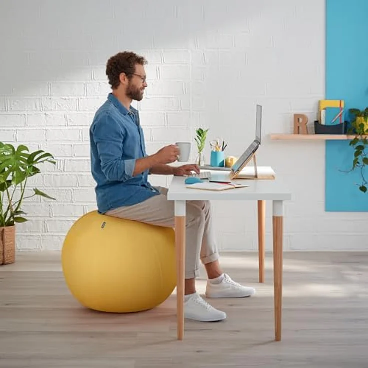 Leitz Ergo Cosy Active Sitzball, Gymnastikball (65 cm) für aktive Körperhaltung und Rückenübungen, mit Handpumpe und Tragegriff – Bild 2