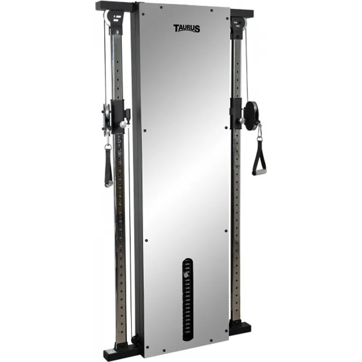 Taurus Kabelzugstation Design Line Dual 67,5 kg, verspiegelt