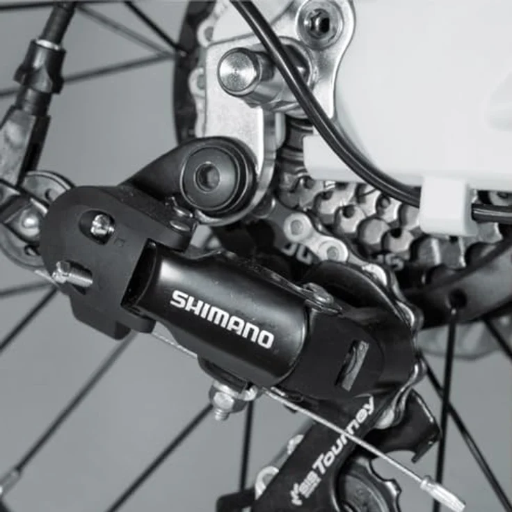 Berlin Bike BERLIN 2GO hellgrün - Klappbares E-Bike, Shimano 7-Gang-Schaltung, Ca. 50 km Reichweite – Bild 6