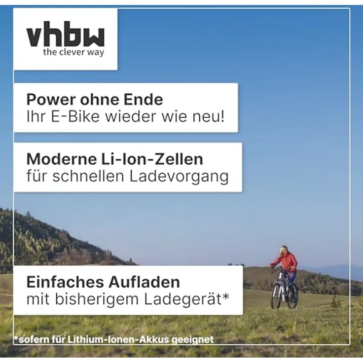 vhbw Akku für E-Bike kompatibel mit Flyer Cargo, C8 HS, C10 HS, C11 HS, C12 HS, 13,2 Ah, 25,2 V, Li-Ion - Grau – Bild 3