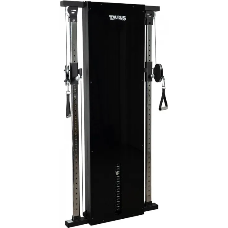 Taurus Kabelzugstation Design Line Dual 90 kg, verspiegelt