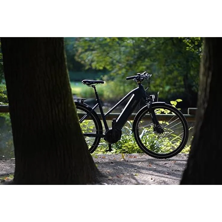Prophete Entdecker 3.0 Trekking E-Bike 28 Zoll - 360Wh - Integrierter Akku - Mittelmotor AEG - 9-Gang Kettenschaltung - HDY. Scheibenbremse - Rahemnhöhe 54 cm, Diamantschwarz – Bild 9