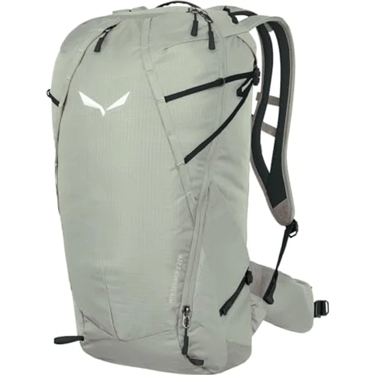 Salewa MTN Trainer 2, 22L Wanderrucksack, 47 cm, grün, 100% Polyamid – Bild 1