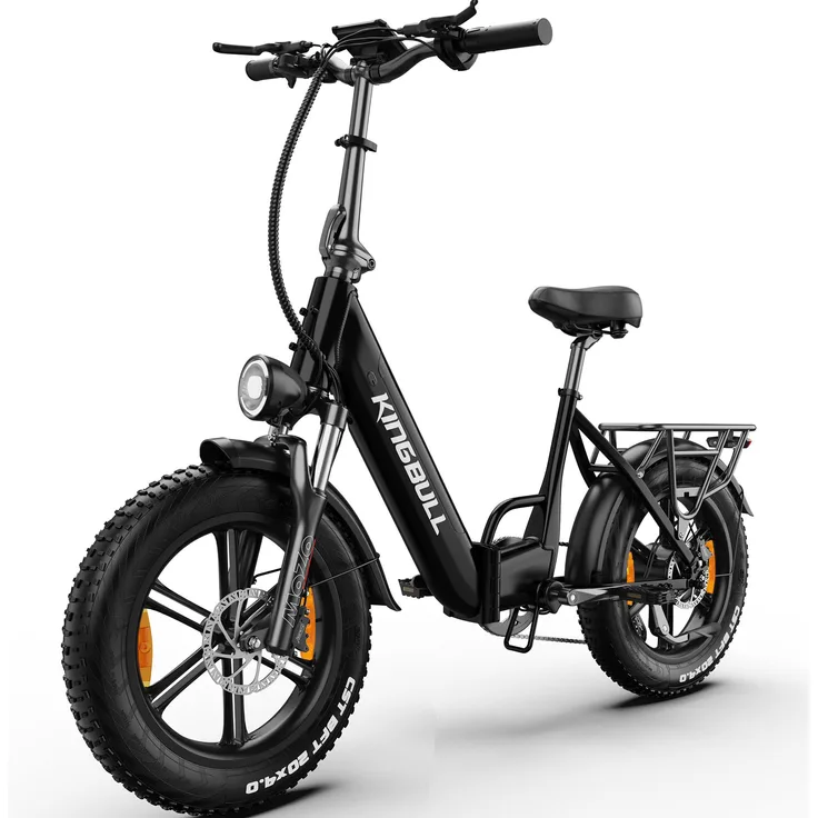 VANKEL Kingbull E-Bike Cityrad, 648Wh Elektrofahrrad mit 250W Heckmotor, 20"x4.0" Reifen, Shimano 7-Gang-Schaltung, abnehmbarer 48V 13.5Ah Akku, bis zu 100 km Reichweite, inklusive Beleuchtungsset