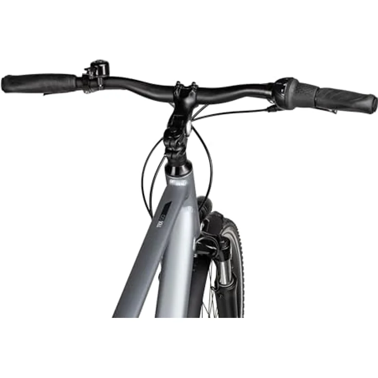 2R Manufaktur TRX GO Herrenfahrrad, Citybike 28 Zoll mit 7-Gang Schaltung, montiert und durchgecheckt – Bild 5