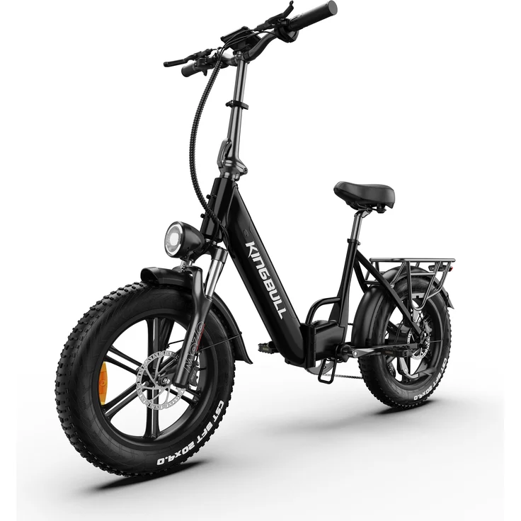 PIXAR Literider 2.0, 20 Zoll Fat E-Bike Tiefeinsteiger mit 250W Motor, 48V 13,5Ah Akku, bis 90 km Reichweite, Shimano 7-Gang, für bis 180 kg Traglast