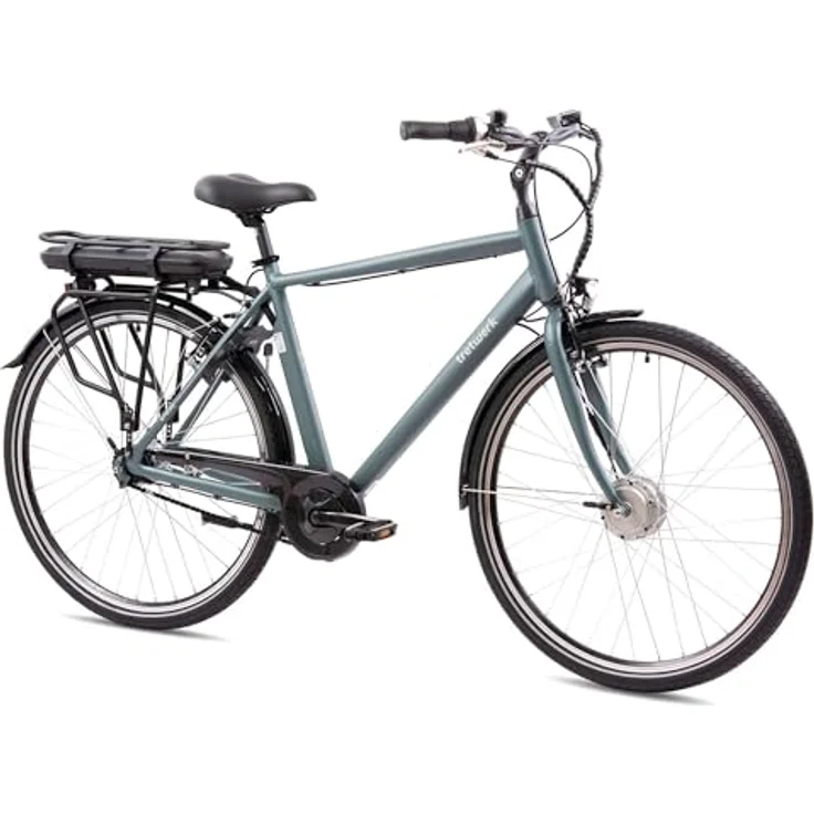 TRETWERK - 28 Zoll E-Bike Herren Pedelec - Mystic grau - E-Citybike Herrenfahrrad mit 7 Gang Shimano Nexus Nabenschaltung - Elektrofahrrad mit Frontmotor 250W, 36V – Bild 1