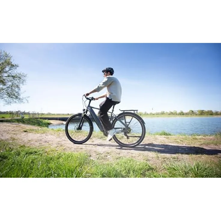 FISCHER E-Bike Trekking MOVE 01, 52 cm Rahmenhöhe, 474 Wh Akku, Heckmotor, 8-Gang Kettenschaltung, grau matt – Bild 3