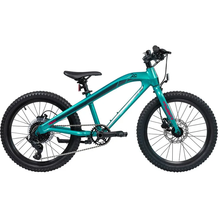 S’COOL Xroc TWENTY, 20 Zoll Jugendfahrrad mit 8-Gang MicroShift-Schaltung und V-Brake-Bremsanlage