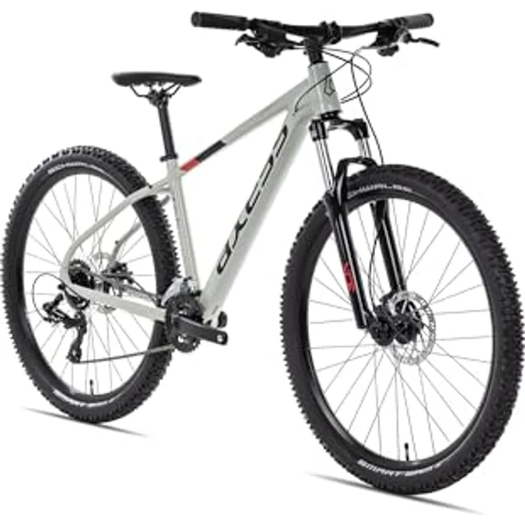 Axess Brash Mountainbike, MTB-Hardtail mit 16-Gang Schaltung und hydraulischen Scheibenbremsen, Farbe: Grey, Rahmengröße: 19 Zoll, Laufradgröße: 29 Zoll – Bild 3