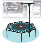 SportPlus Fitness Trampolin für zuhause, mit Haltestange (5-Fach höhenverstellbar), weiche Gummiseilfederung, sehr leise & bis 130 kg belastbar