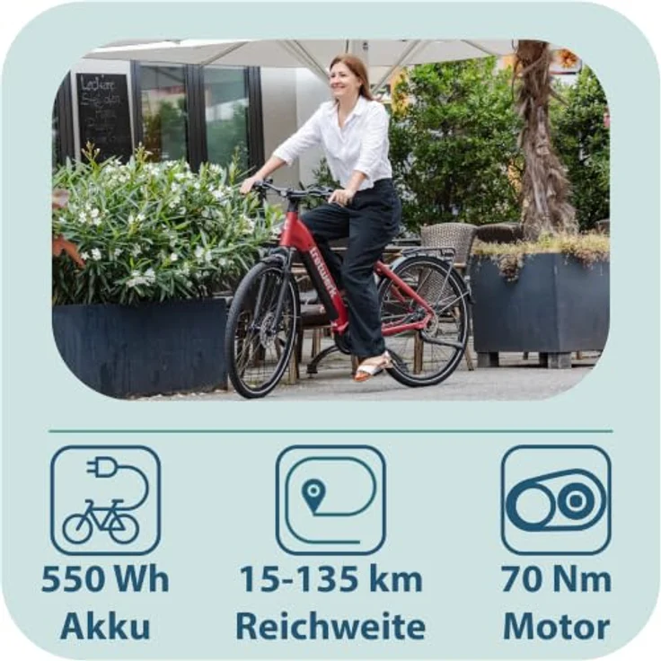 Tretwerk Amber Nexus E-Bike Damen, 28 Zoll Elektrofahrrad mit 550 Wh Akku, Shimano 8-Gang-Nabenschaltung, Tiefeinsteiger für Körpergröße 155 - 185 cm – Bild 3