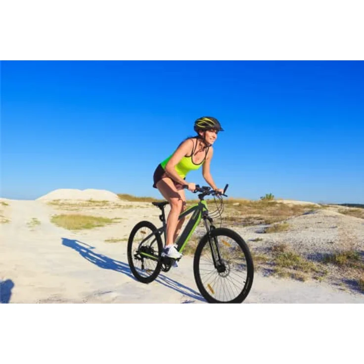 SachsenRAD E-Bike R8 Ranger, 27,5 Zoll, StVZO, hydraulische Scheibenbremsen, 7-Gang, LCD, 36V Akku, Off-Road Reifen, Grau – Bild 2