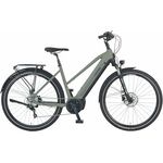 Prophete ENTDECKER 4.0 E-Bike, 28" Mittelmotor 250 W/100 Nm, 9-Gang Kettenschaltung, TFT-Display, 48 V Akku, Schwarz/Anthrazit