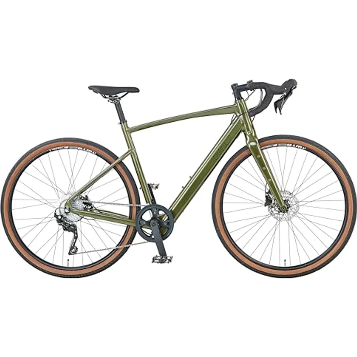 Prophete Graveler 1.0 Gravel E-Bike, Diamant 28 Zoll, 360 Wh, integrierter Akku, AEG Heckmotor, 10-Gang Kettenschaltung, hydraulische Scheibenbremse, Rahmenhöhe 53 cm, Metallic Green – Bild 1