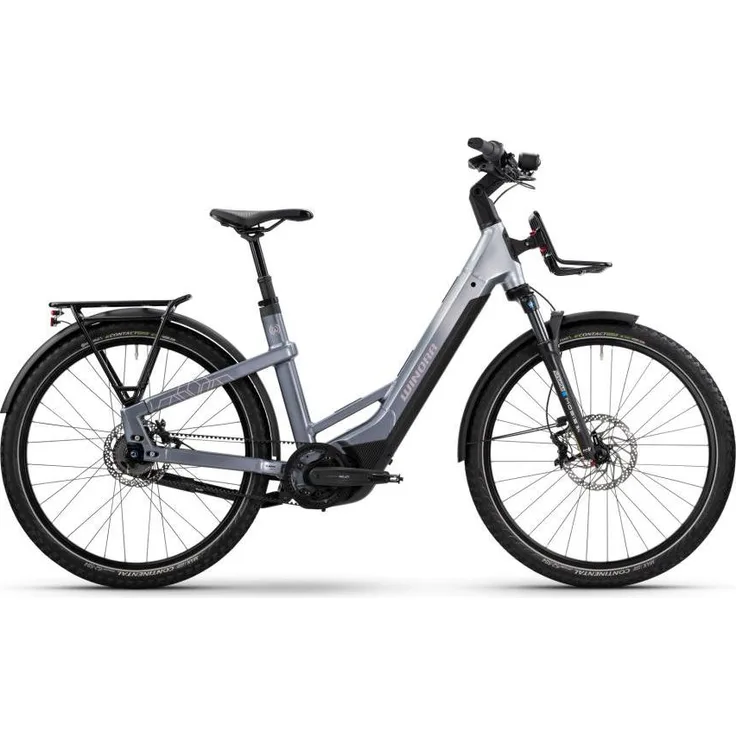 Winora Yakun R5 Pro Low, E-Bike SUV mit 800Wh Akku, Nexus 5-G, Farbe downtown/haze, Größe M