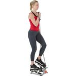 Sunny Health & Fitness Unisex-Adult Ganzkörper-Schrittmaschine-SF-S0978 Stepper, grau, One Size