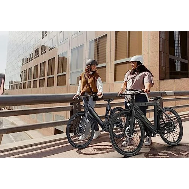 SachsenRAD xBird C6R Connect Urban E-City-Bike, E-Bike mit Riemenantrieb und integriertem LCD-Display, schwarz, für Körpergrößen 150-180 cm – Bild 3