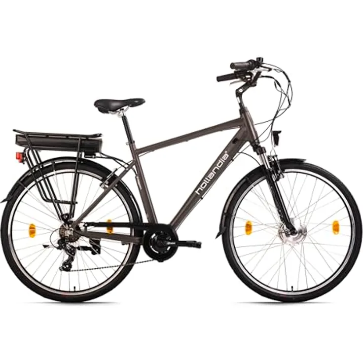 HOLLANDIA E-Citybike Herren 28" Zagon RH 53 cm Grau 250 Watt Li-Ion 36V/13 Ah 6 Gänge