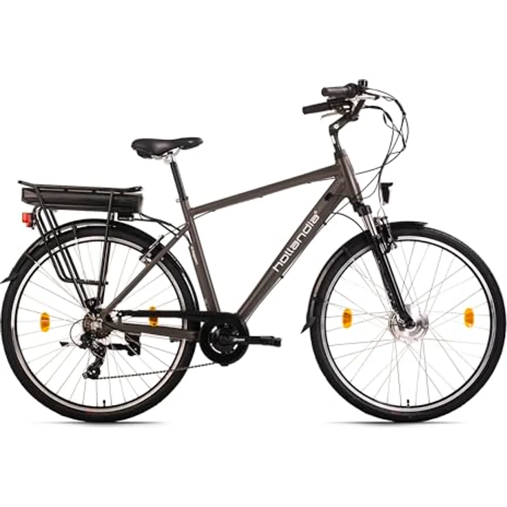 HOLLANDIA E-Citybike Herren 28" Zagon RH 53 cm Grau 250 Watt Li-Ion 36V/13 Ah 6 Gänge – Bild 1