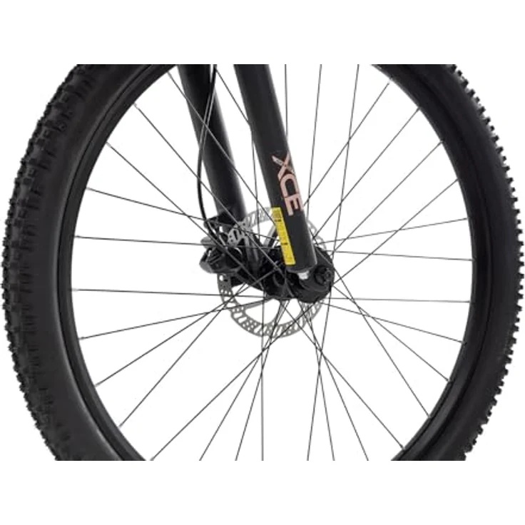 Axess Doree, Damen-Mountainbike Hardtail mit 16-Gang Schaltung und hydraulischen Scheibenbremsen, matt red, 17 Zoll Rahmen, 29 Zoll Laufräder – Bild 2