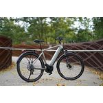 Prophete Entdecker 4.0 Trekking E-Bike 28 Zoll - 540 Wh - Mittelmotor - 10-Gang Kettenschaltung - HDY Scheibenbremse - Rahmenhöhe 54 cm