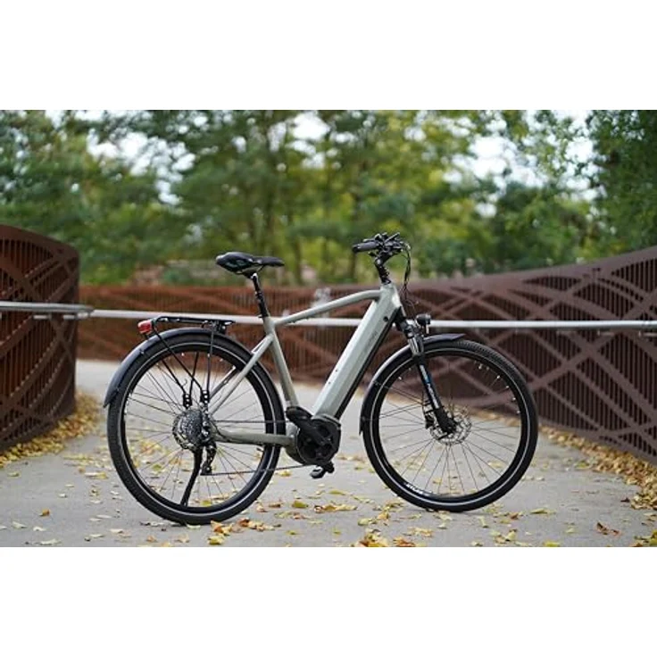 Prophete Entdecker 4.0 Trekking E-Bike 28 Zoll - 540 Wh - Mittelmotor - 10-Gang Kettenschaltung - HDY Scheibenbremse - Rahmenhöhe 54 cm – Bild 1