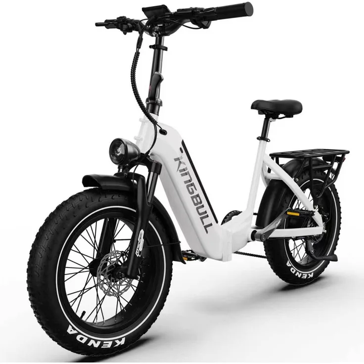 VANKEL VERVE E-Bike Cityrad Pedelec für Damen und Herren, 250W Heckmotor, 48V 20AH Akku, 130 km Reichweite, Shimano 8-Gang-Schaltung, 20×4.0" Fatbike, Aluminiumrahmen