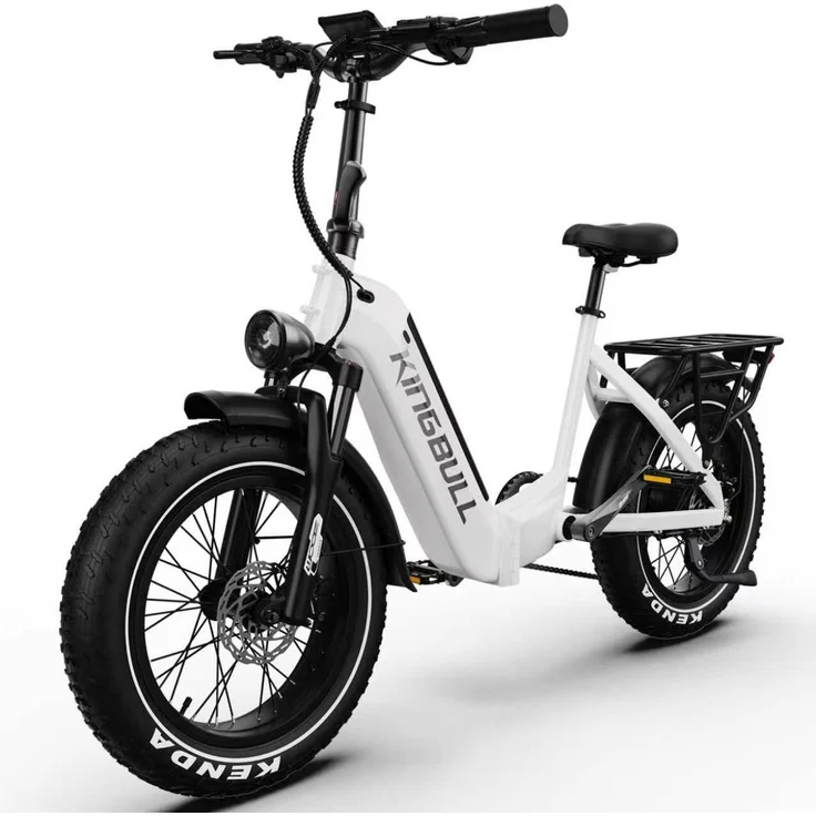 VANKEL VERVE E-Bike Cityrad Pedelec für Damen und Herren, 250W Heckmotor, 48V 20AH Akku, 130 km Reichweite, Shimano 8-Gang-Schaltung, 20×4.0" Fatbike, Aluminiumrahmen