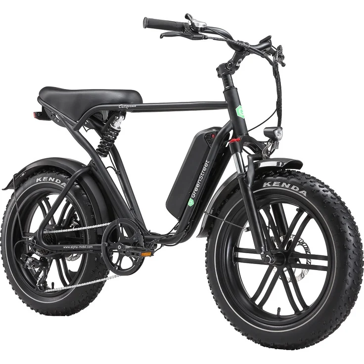 GreenStreet E-Bike Fat Tire California 250 W 20 Zoll, Elektrofahrrad mit extrabreiten Reifen und 36V/13Ah Lithium-Akku