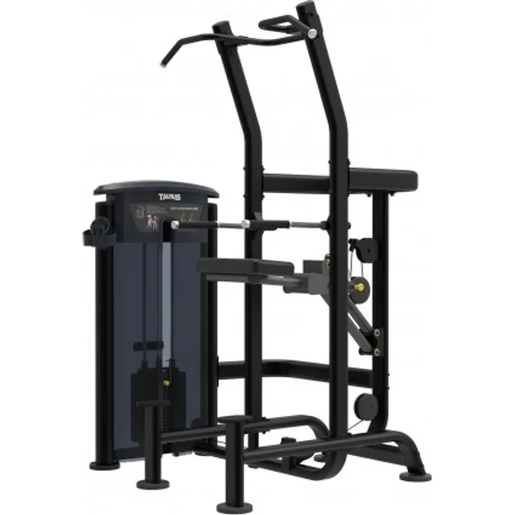 Taurus Weight Assisted Chin-Dip Combo IT95