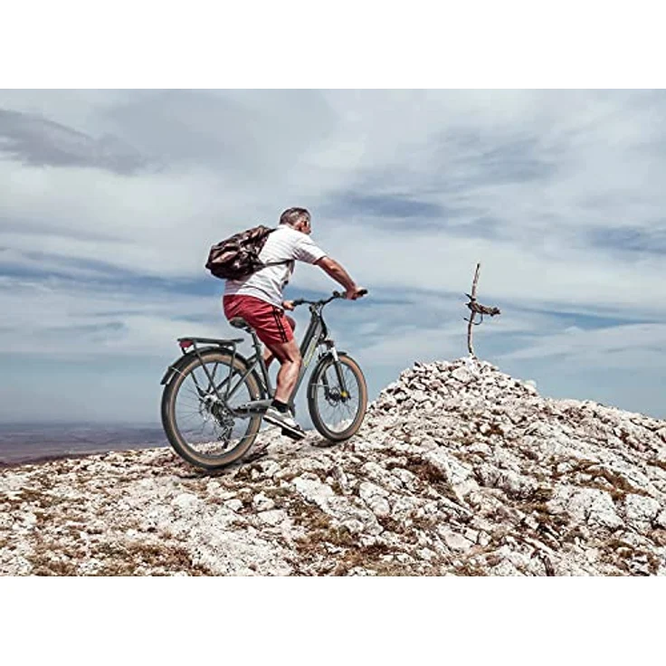 SachsenRAD E-SUV ATB All Terrain E-Bikes C5 Centro mit Diebstahlsicherung, CityBike Mittelmotor mit tiefem Einstieg, Bremslicht Alarmanlage, Elektrofahrrad Farbe Display StVZO Damen Herren Pedelec – Bild 5