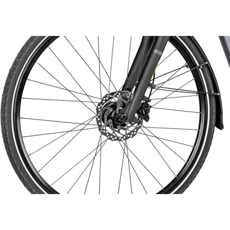 2R Manufaktur TRX TWO Wave, Damen-Citybike mit Tiefeinstieg, 28 Zoll, Silber, 51 cm, hydraulische Scheibenbremsen, Federgabel, wartungsarmer Riemenantrieb – Bild 5