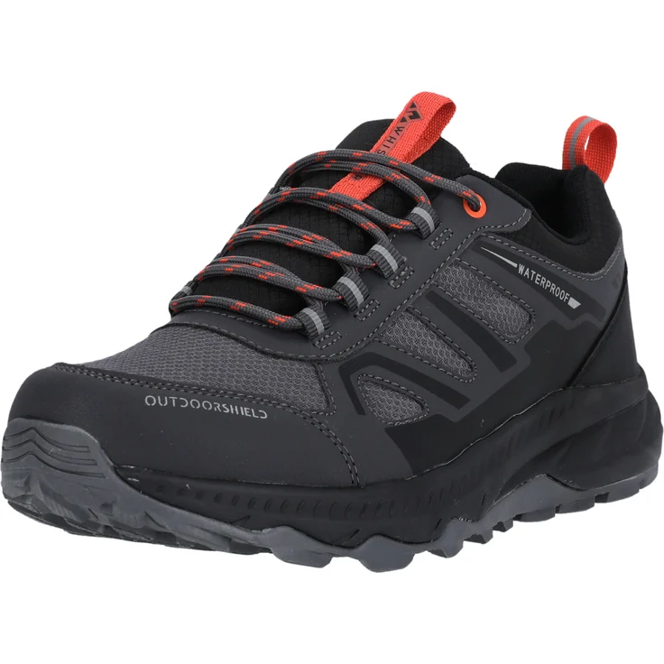 WHISTLER Qisou M, wasserfeste Outdoorschuhe mit Allwetterprofil 1051, Asphalt, Größe 42