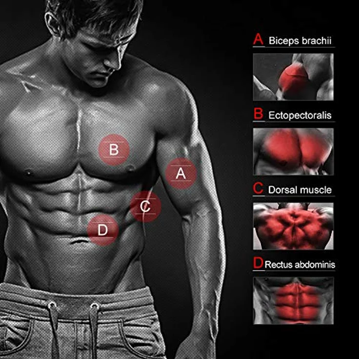 DOBEN Profi Königsfeder Biegehantel für Krafttraining Fitness Biegehantel 20kg, 30kg, 40kg, 50kg, 60kg, Armtrainer Gerät – Bild 5