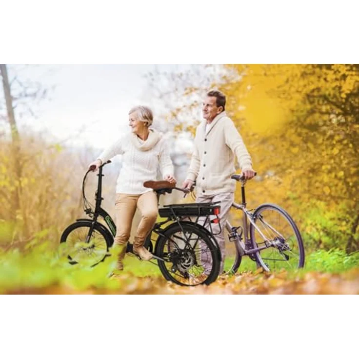SachsenRAD E-Folding Bike F2 Farmers 20 Zoll elektrisches Fahrrad Faltbar, 470 Wh Akku bis 130 km Distanz, Damen Herren Elektrofahrrad Ebike mit StVZO-Zulassung, Schwarz. – Bild 3